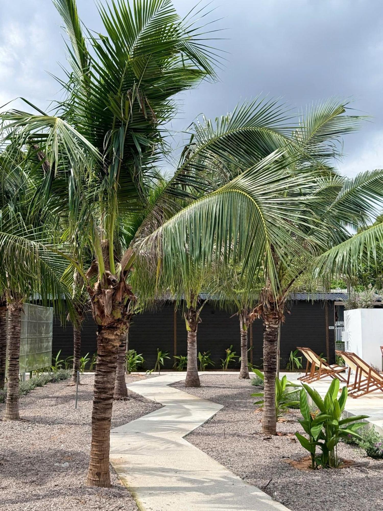 Wanderlust Garden Inn Mũi Né Exterior foto